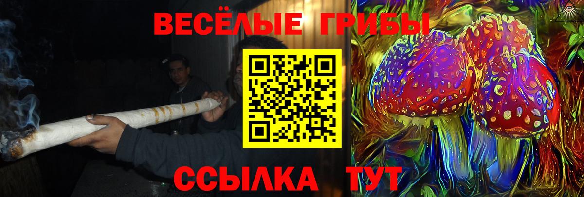 Галлюциногенные грибы прущие грибы  Вход с VPN  Ливны  Галлюциногенные грибы мицелий 
